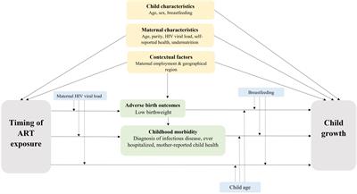 No Difference in Growth Outcomes up to 24 Months of Age by Duration of Exposure to Maternal Antiretroviral Therapy Among Children Who Are HIV-Exposed and Uninfected in Malawi